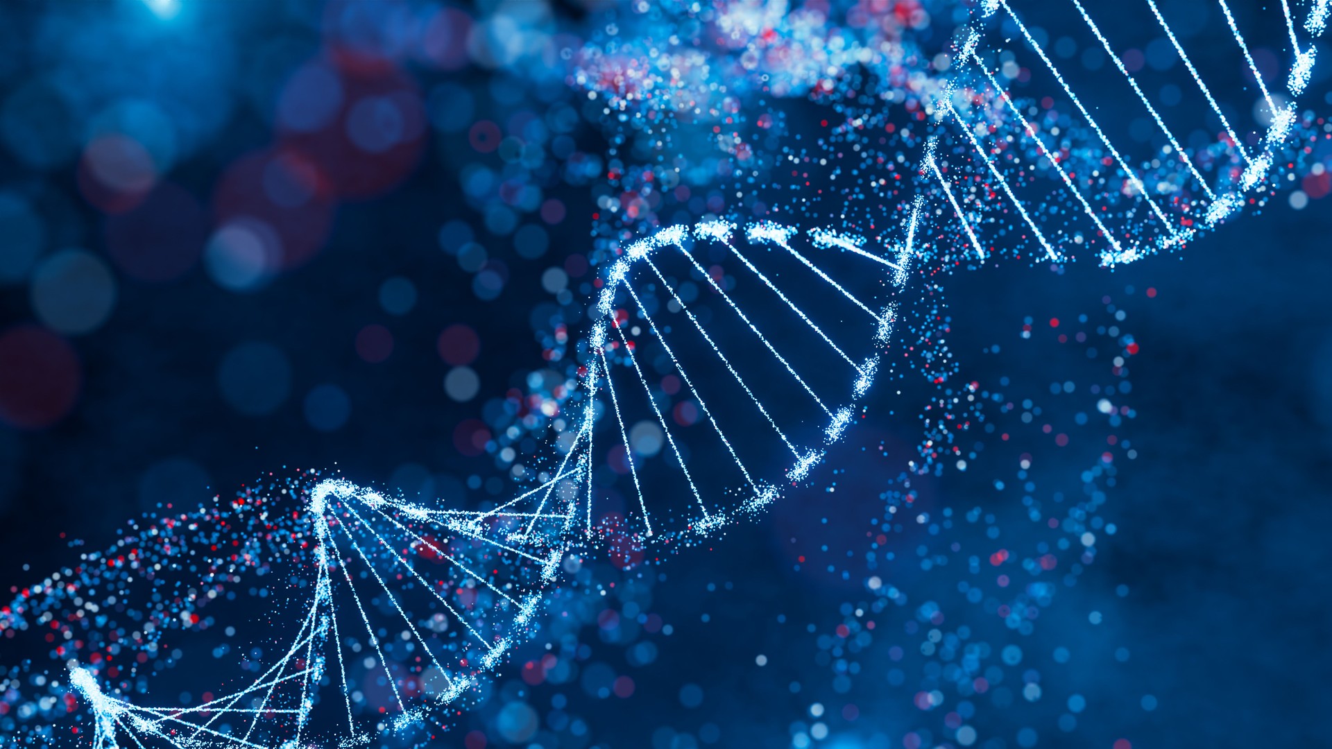 Sparkling DNA helix structure in blue and red. High-tech concept of genetic research, bioinformatics, and computational biology.